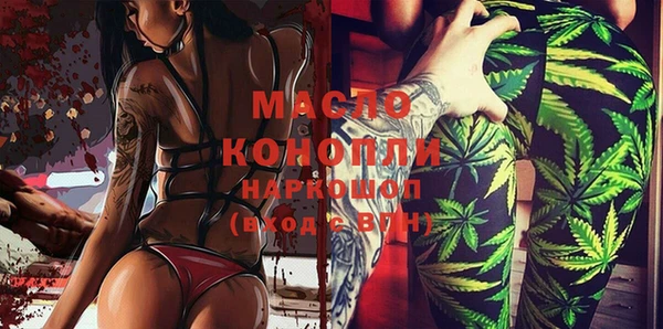 гашик Алексеевка