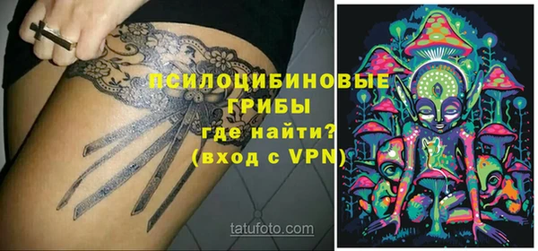 гашик Алексеевка