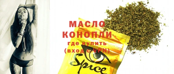 гашик Алексеевка